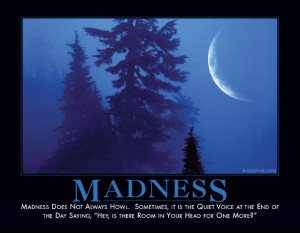 Sunday Silliness - Madness :o)