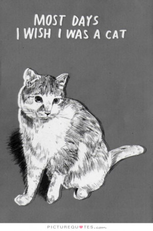 Most Days I Wish I Were A Cat Quote | Picture Quotes & Sayings