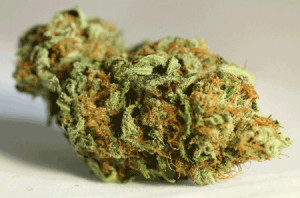 Join The Helping Hands Mailing List