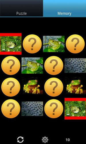 Funny Frogs Photos Puzzle...