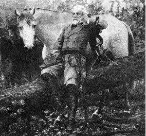 Traveller. A difficult horse but Robert E. Lee loved him and made him ...