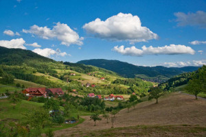 Black Forest Germany...
