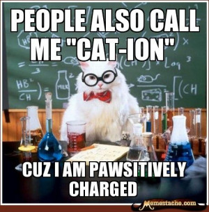 Science Cat Chemistry Jokes...