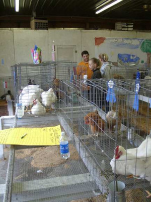 The Poultry and Rabbit Barns