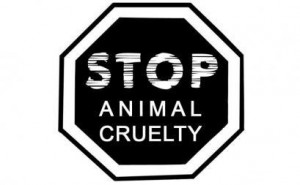 Cases of animal cruelty and neglect are sadly very common. There are ...