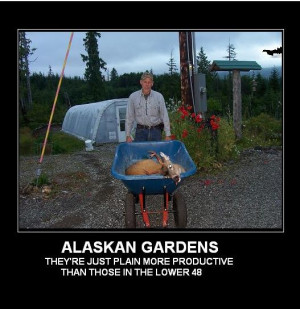 Alaskan_gardens