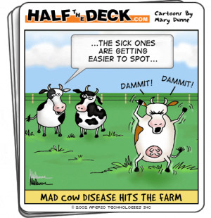 BLOG - Really Funny Cow Jokes