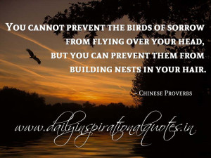 ... over your head, but you can prevent them from building nests in your