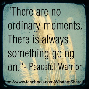 Ordinary moments, #Peaceful Warrior, #Quote #words