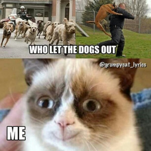 Grumpy Cat Lovers’ Mega Compilation (21 Pics)