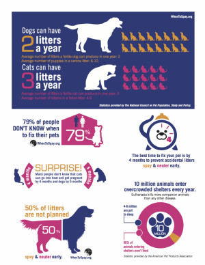 February is Spay/Neuter Awareness Month
