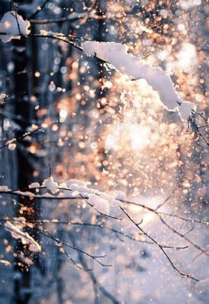 New Snow Bokeh Light Outdoors Nature Winter Sun Snow