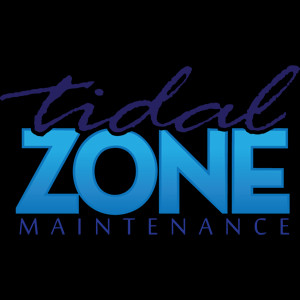 tidal wave logo