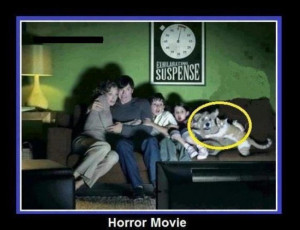 Funny Horror Movie Quotes Funny horror movie quotes