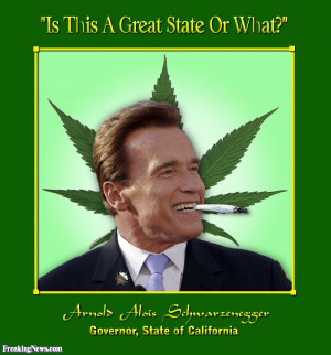 funny smoking weed pictures arnold