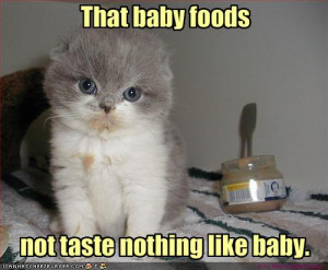 File:Funny-pictures-kitten-is-disappointed-with-baby-food.jpg