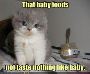 File:Funny-pictures-kitten-is-disappointed-with-baby-food.jpg