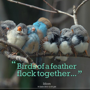 Birds of a Feather Flock Together 0