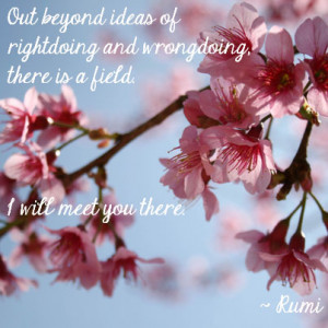 Rumi inspirational quote_doi_suthep_coffee_break_cherry blossoms