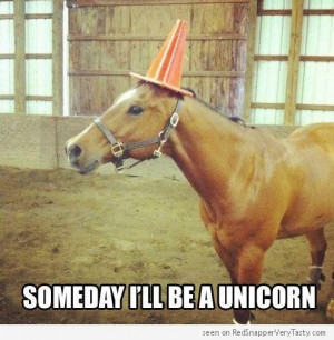 Horse : Someday I’ll be a Unicorn