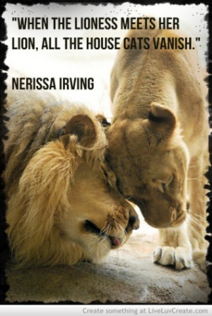 Lion And Lioness Love Quotes Lion Lioness Love Quotes Lion