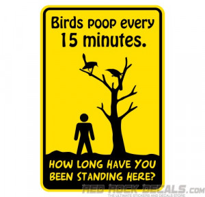 Funny #8 Bird Poop Funny #9 Bird Poop Funny #11 Bird Poop Funny #12 ...