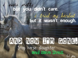 Horse Quotes Cool Graphic Pic #18