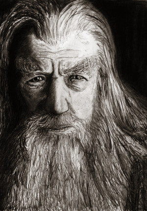 Gandalf The Grey Vigshane
