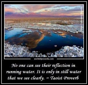 World of Proverbs - Famous Quotes: No one can see their reflection in ...