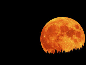 It’s a full moon tonight! Also known as the “Pink” full moon ...