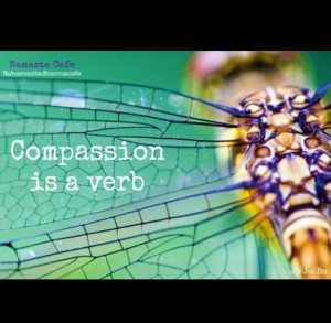 Compassion is a verb.” Thich Nhat Hanh