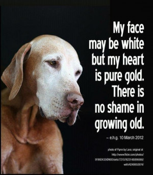 Source: http://24.media.tumblr.com/tumblr_m0p8cjv0iY1qg9t56o1_1280.jpg ...