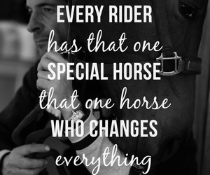 Tagged with horse riding. quotes