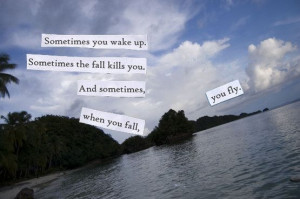 sometimes, when you fall - you fly. - Neil Gaiman's Sandman