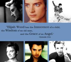 Elijah Wood Quote 3 years ago in Other