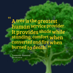 Quotes Picture: a tree is the greatest human service provider it ...