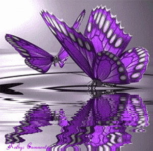 Purple Butterflies ♡ - butterflies Photo