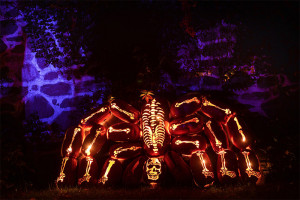 every year in New York, the Great Jack O’Lantern Blaze is a 25-night ...