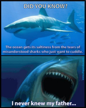 Shark Problems featuring Bruce from Finding Nemo