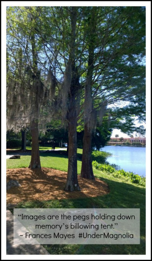 ... tent.” ~ @Frances Mayes #UnderMagnolia #Quotes #Inspirational