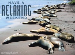 Happy Relaxing Weekend Card And Quotes SMS