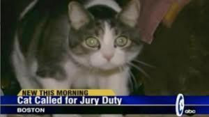 to get out of jury duty jury duty funny quotes