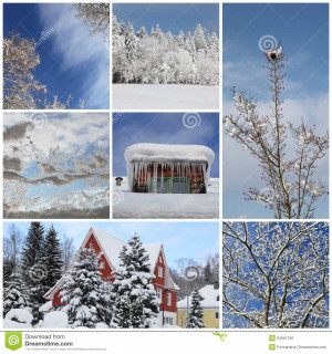 winter-collage-snow-forest-winter-season-snowy-trees-blue-sky-34587160 ...