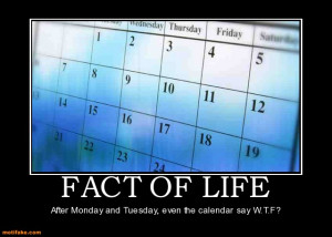 FACT OF LIFE - After Monday and Tuesday, even the calendar say W.T.F ...