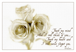 Touch my Soul(quote) Roses '09