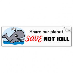 Save The Whales Bumper Stickers