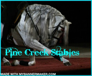 Pine Creek stables .:OPEN:.