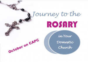 Day 3 One-Minute Rosary Quote from Pope Leo XIII’s On the Rosary and ...