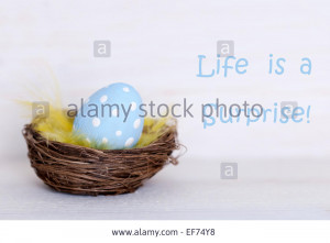 one-blue-dotted-easter-eggs-in-easter-basket-or-nest-on-white-wooden ...