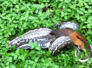 BLOG - Funny Mountain Bike Quotes